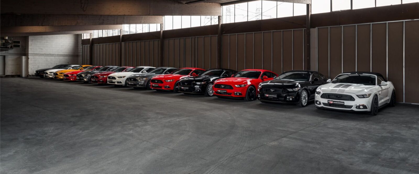 Mustang Flotte