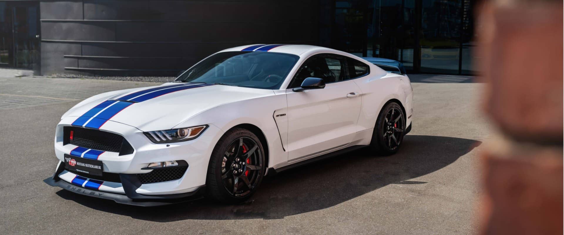 Mustang Deutschland – Hintergrundbild