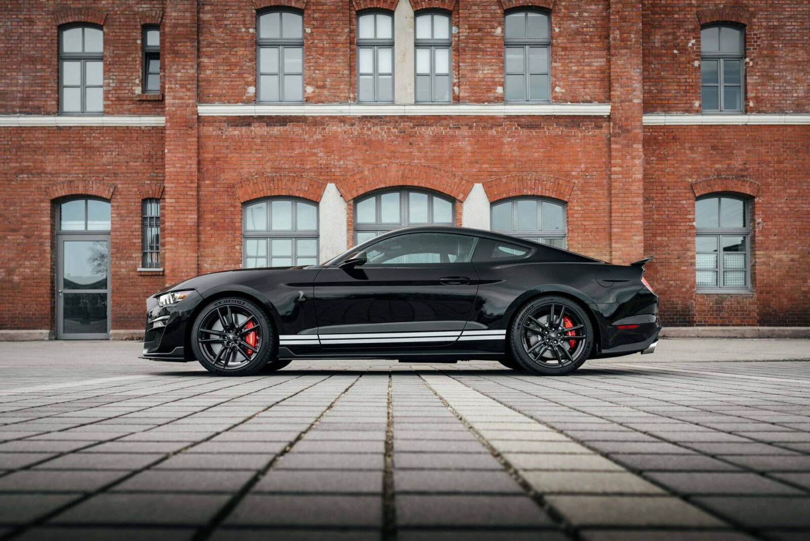 Shelby GT500 vs. Dark Horse: Welcher Mustang ist der Richtige?