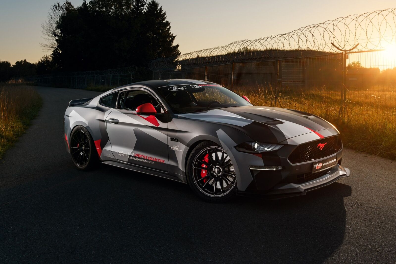 DEIN MUSTANG-EXPERTE